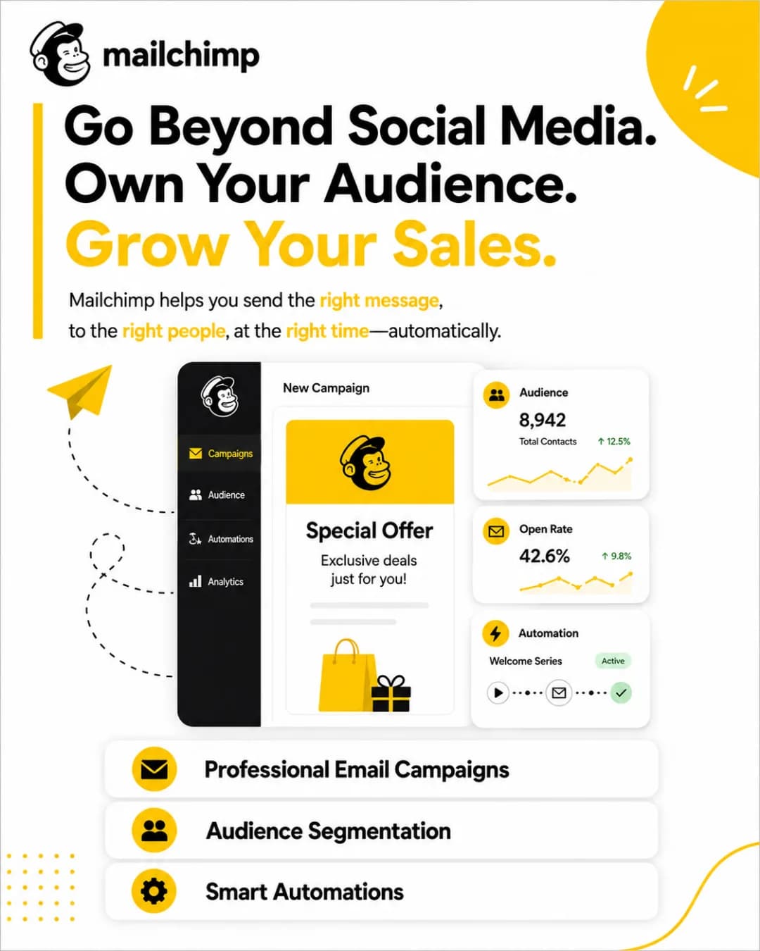 Mailchimp banner reading Go Beyond Social Media, Own Your Audience, Grow Your Sales, with a campaign dashboard and icons for email campaigns, audience segmentation and smart automations.
